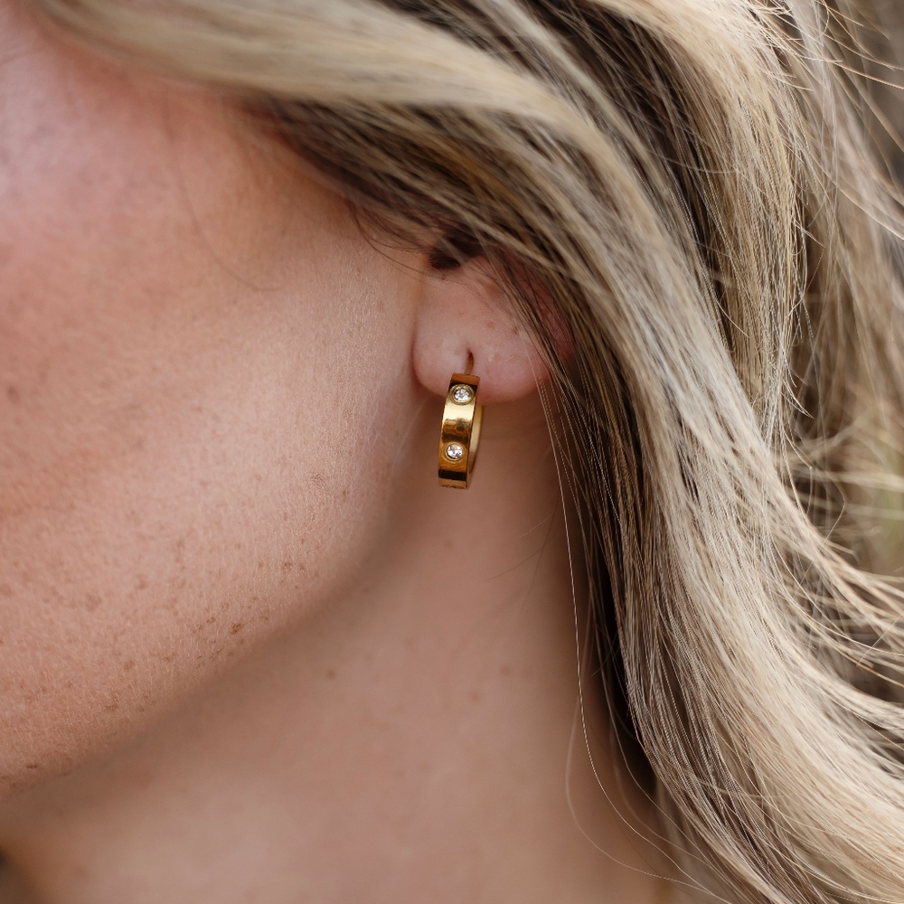 18k Gold Plated earrings